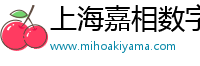 上海嘉相数字科技